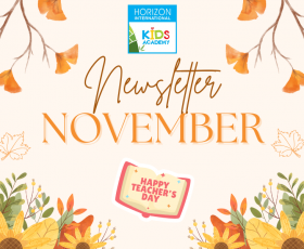 Newsletter November 2024