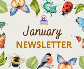 Newsletter January 2026
