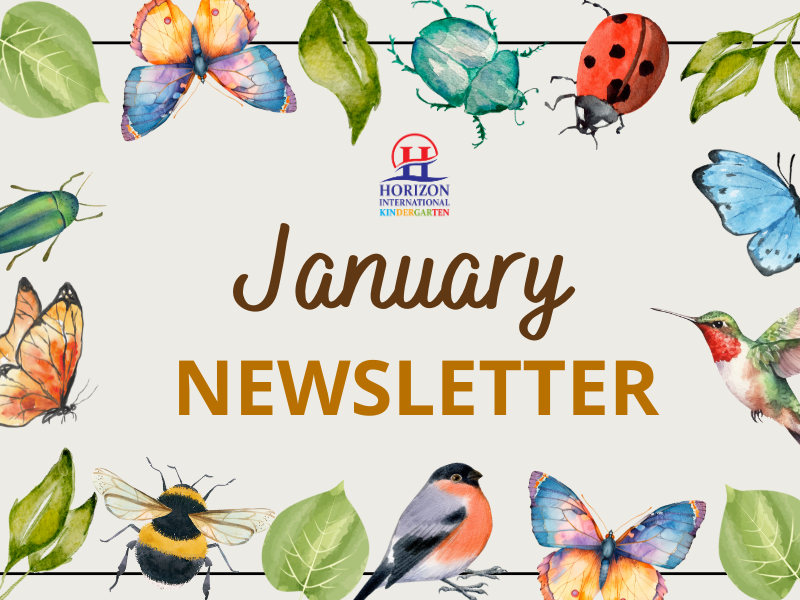 Newsletter January 2026